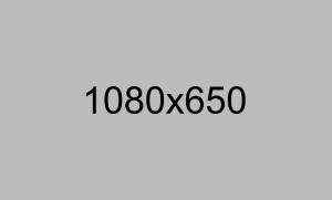 _0005_Calque-2